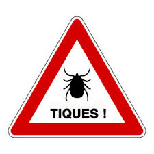 danger_tiques