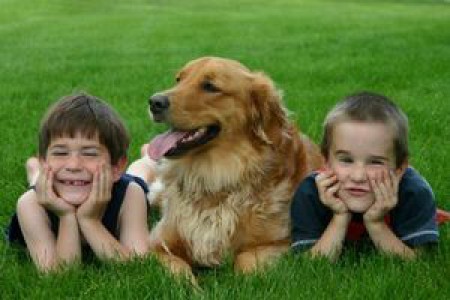 156_enfants et chien dans herbe_resultat-398eb34345